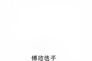 十字路口的三十秒现场画面：傍晚路口围观人群与疏导通道